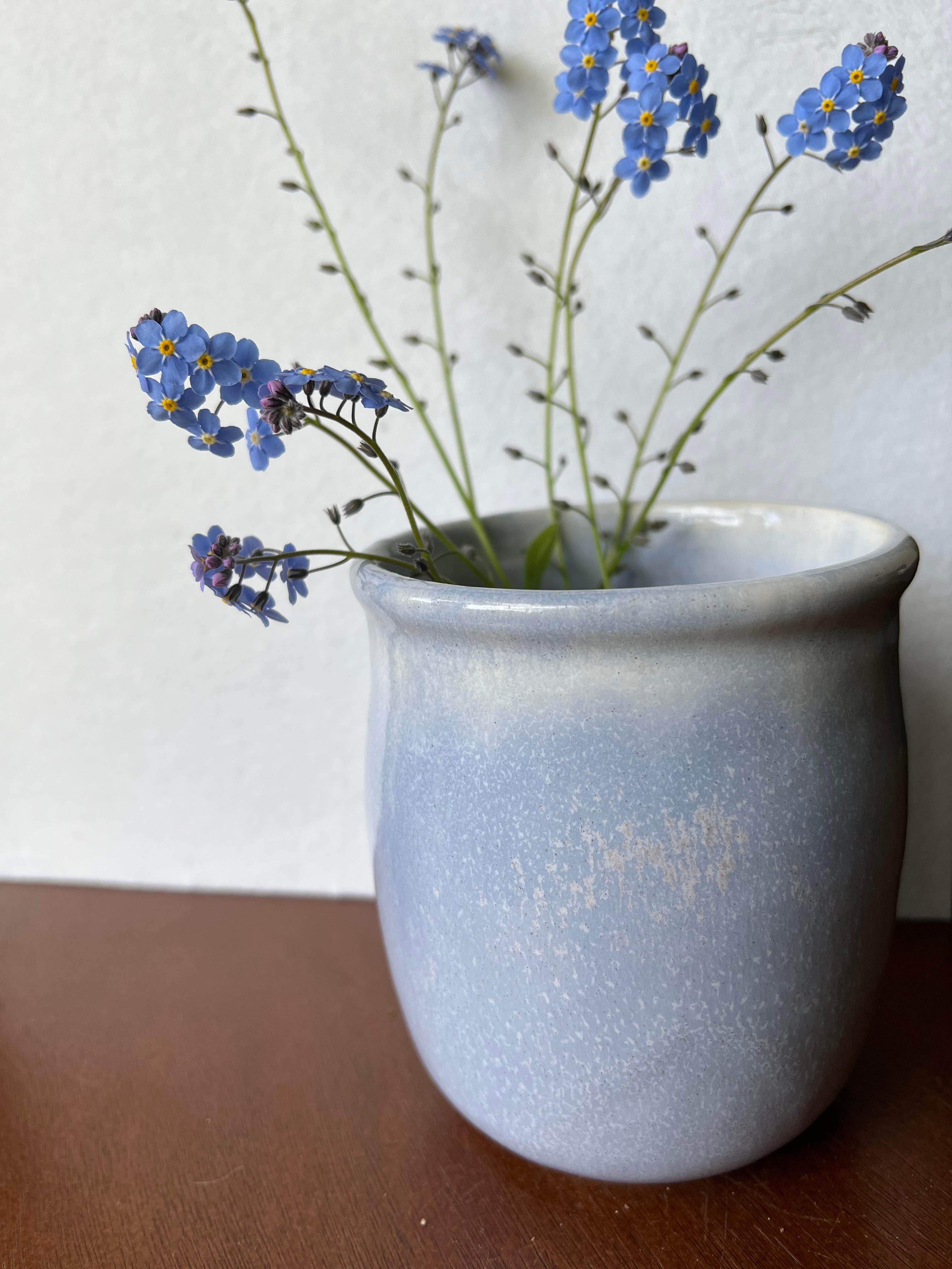 blog